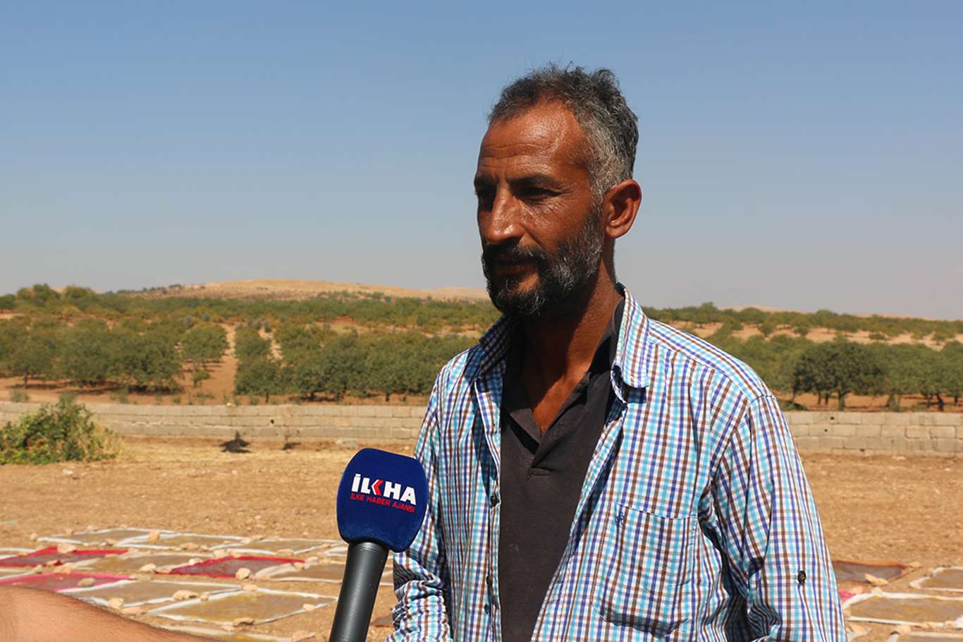 İbrahim Şıldır
